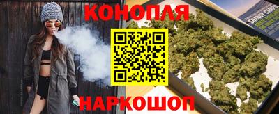 сатива Анапа