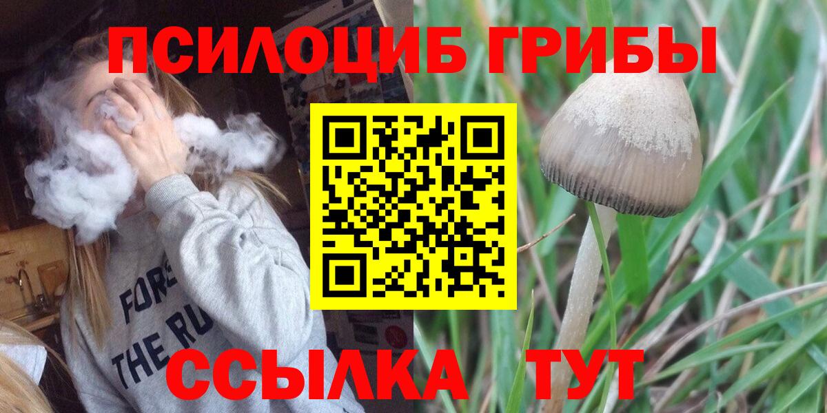 Псилоцибиновые грибы GOLDEN TEACHER Аргун